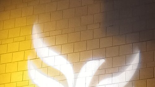 Lib Dem logo bird projected on blockwork