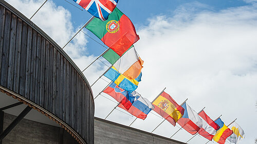 Euro flags