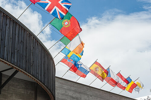 Euro flags